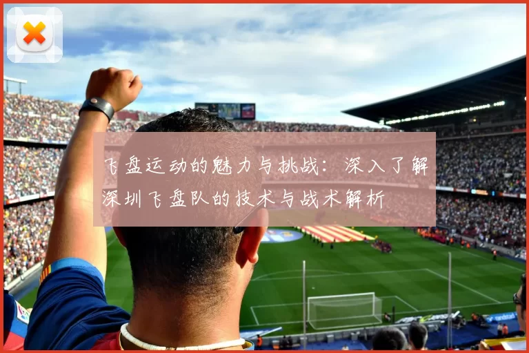 飞盘运动的魅力与挑战:深入了解深圳飞盘队的技术与战术解析