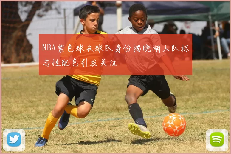 NBA紫色球衣球队身份揭晓湖人队标志性配色引发关注