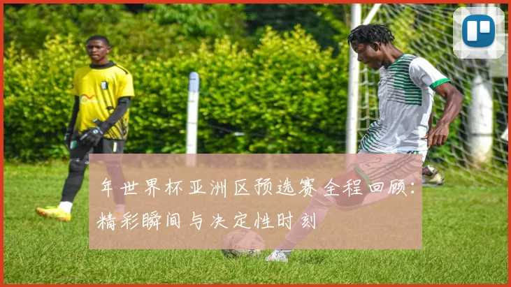 年世界杯亚洲区预选赛全程回顾：精彩瞬间与决定性时刻