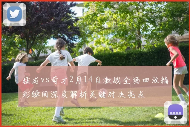 猛龙vs奇才2月14日激战全场回放精彩瞬间深度解析关键对决亮点