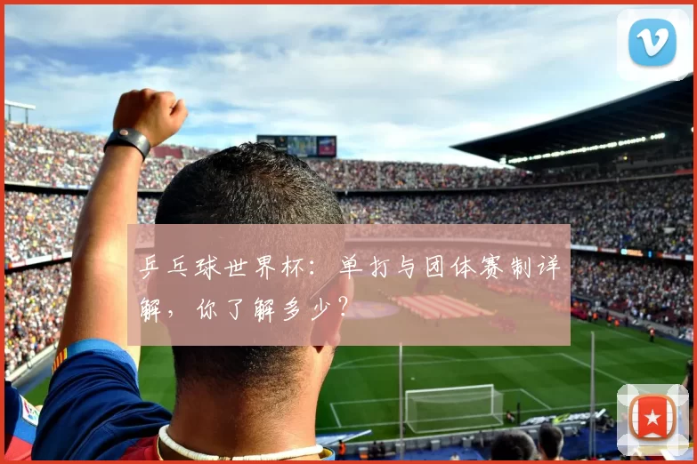 乒乓球世界杯：单打与团体赛制详解，你了解多少？