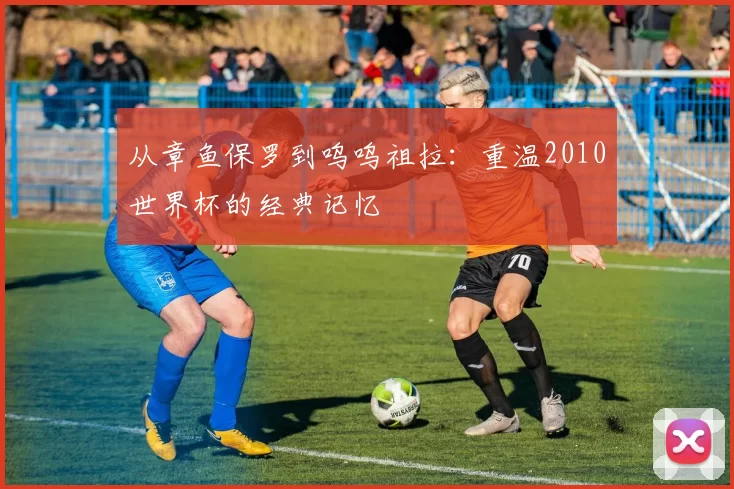 从章鱼保罗到呜呜祖拉:重温2010世界杯的经典记忆