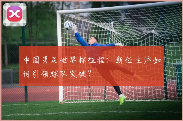 中国男足世界杯征程：新任主帅如何引领球队突破？