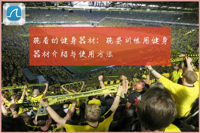 跪着的健身器材:跪姿训练用健身器材介绍与使用方法