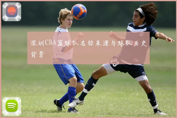 深圳CBA篮球队名称来源与球队历史背景