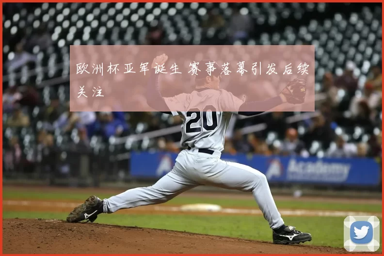 欧洲杯亚军诞生 赛事落幕引发后续关注