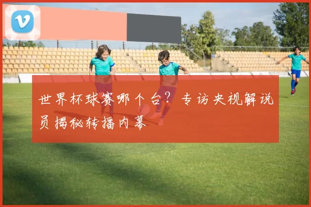 世界杯球赛哪个台？专访央视解说员揭秘转播内幕