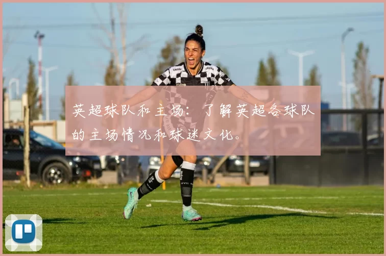 英超球队和主场:了解英超各球队的主场情况和球迷文化。