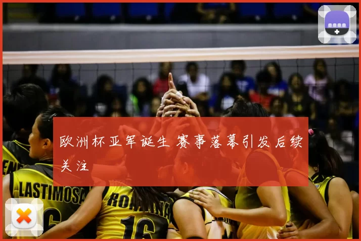欧洲杯亚军诞生 赛事落幕引发后续关注